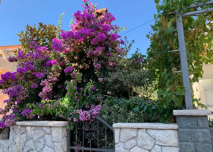 Dumancic * 비오그라드나모루