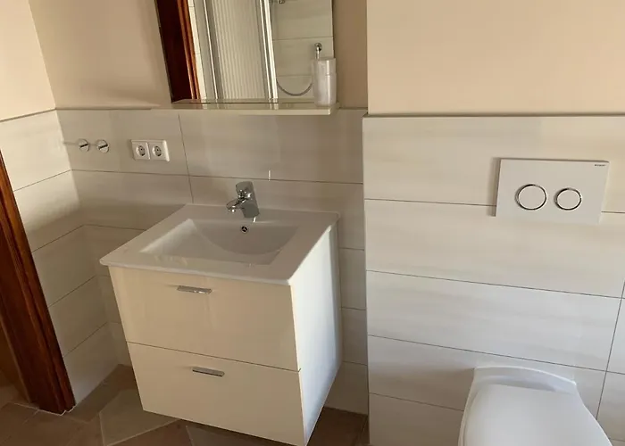 Dumancic 아파트 *