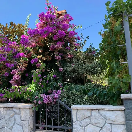 Dumancic * Biograd Na Moru