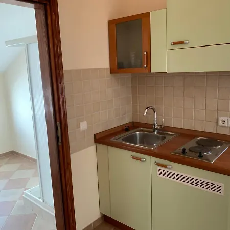 Apartment Dumancic