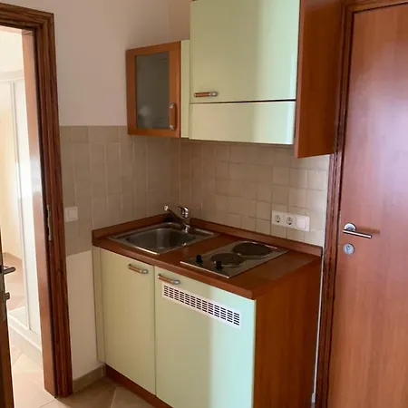 Dumancic Apartment